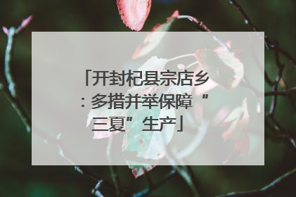 开封杞县宗店乡：多措并举保障“三夏”生产