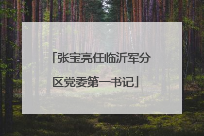 张宝亮任临沂军分区党委第一书记