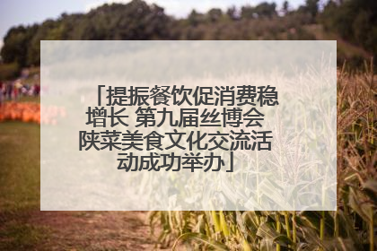 提振餐饮促消费稳增长 第九届丝博会陕菜美食文化交流活动成功举办