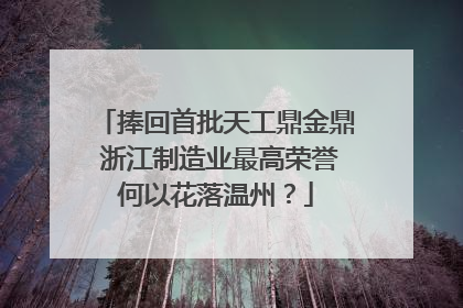捧回首批天工鼎金鼎 浙江制造业最高荣誉何以花落温州？