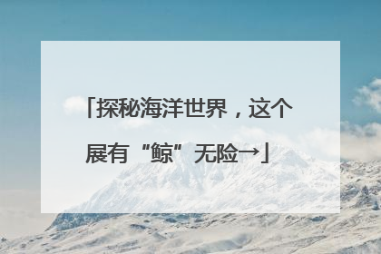 探秘海洋世界，这个展有“鲸”无险→