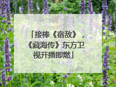 接棒《宿敌》，《藏海传》东方卫视开播即燃