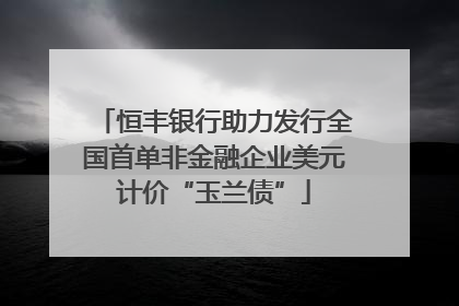 恒丰银行助力发行全国首单非金融企业美元计价“玉兰债”
