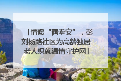 情暖“鹤耋安”，彭刘杨路社区为高龄独居老人织就温情守护网