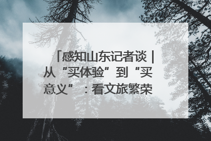 感知山东记者谈|从“买体验”到“买意义”:看文旅繁荣背后的幸福新定义