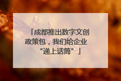 成都推出数字文创政策包，我们给企业“递上话筒”