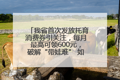 我省首次发放托育消费券引关注，每月最高可领600元，破解“带娃难” 如何不负所“托”？
