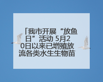 我市开展“放鱼日”活动 5月20日以来已增殖放流各类水生生物苗种5.1亿单位