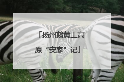 扬州鹅黄土高原“安家”记