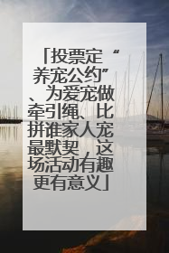 投票定“养宠公约”、为爱宠做牵引绳、比拼谁家人宠最默契，这场活动有趣更有意义