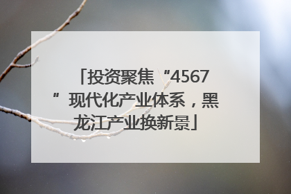 投资聚焦“4567”现代化产业体系，黑龙江产业换新景