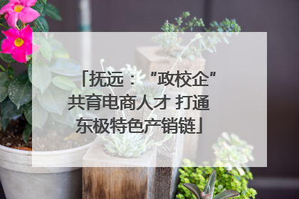 抚远：“政校企”共育电商人才 打通东极特色产销链