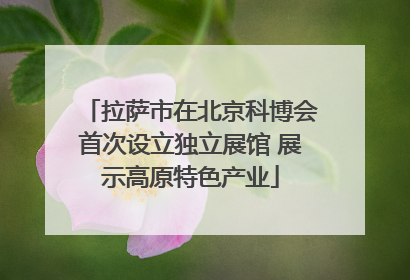 拉萨市在北京科博会首次设立独立展馆 展示高原特色产业