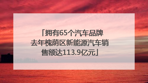 拥有65个汽车品牌 去年槐荫区新能源汽车销售额达113.9亿元