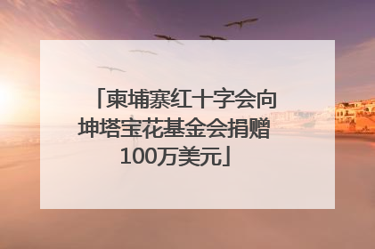 柬埔寨红十字会向坤塔宝花基金会捐赠100万美元