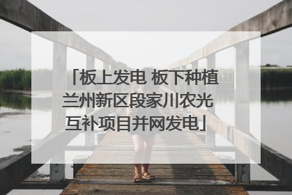 板上发电 板下种植 兰州新区段家川农光互补项目并网发电