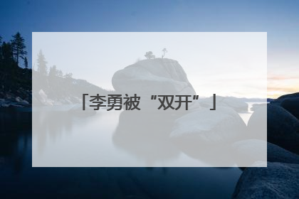 李勇被“双开”