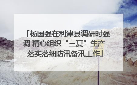 杨国强在利津县调研时强调 精心组织“三夏”生产 落实落细防汛备汛工作