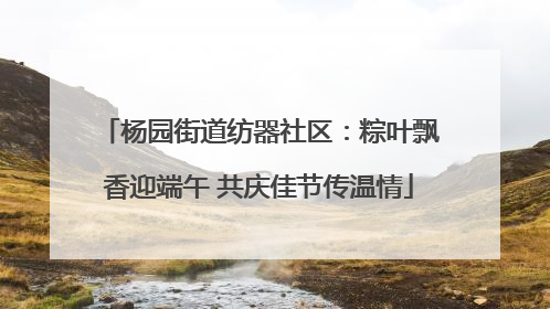 杨园街道纺器社区：粽叶飘香迎端午 共庆佳节传温情