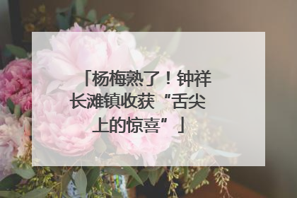 杨梅熟了！钟祥长滩镇收获“舌尖上的惊喜”
