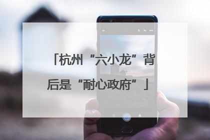 杭州“六小龙”背后是“耐心政府”