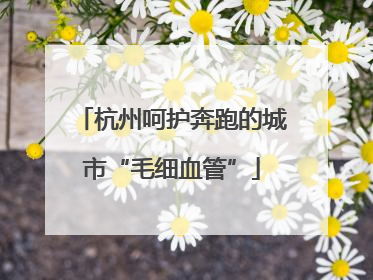 杭州呵护奔跑的城市“毛细血管”