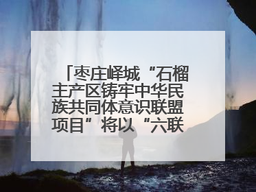 枣庄峄城“石榴主产区铸牢中华民族共同体意识联盟项目”将以“六联”活动为抓手深化品牌建设