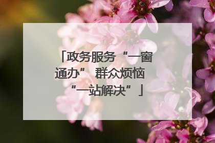 政务服务“一窗通办” 群众烦恼“一站解决”