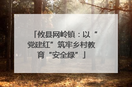 攸县网岭镇：以“党建红”筑牢乡村教育“安全绿”