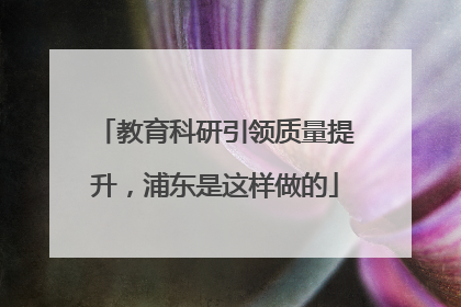 教育科研引领质量提升，浦东是这样做的