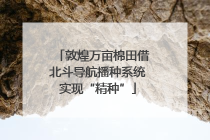 敦煌万亩棉田借北斗导航播种系统实现“精种”