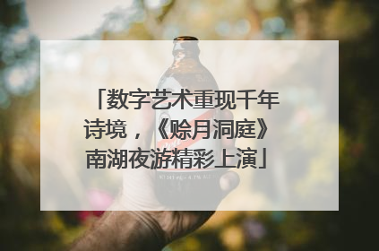 数字艺术重现千年诗境，《赊月洞庭》南湖夜游精彩上演
