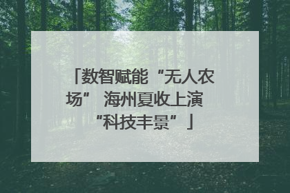 数智赋能“无人农场” 海州夏收上演“科技丰景”