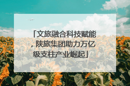 文旅融合科技赋能，陕旅集团助力万亿级支柱产业崛起