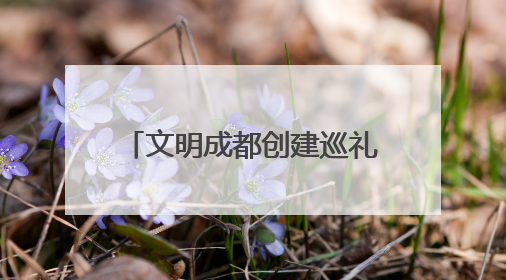 文明成都创建巡礼⑦｜普惠金融、绿色制造、公益助学展现城市文明底色