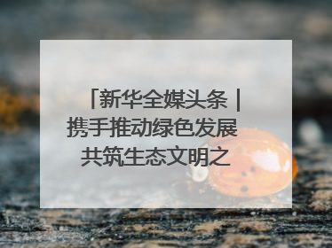 新华全媒头条｜携手推动绿色发展 共筑生态文明之基（1）