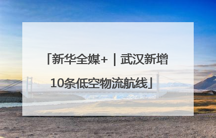 新华全媒+｜武汉新增10条低空物流航线