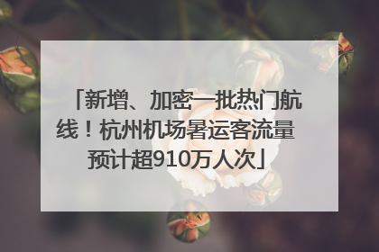 新增、加密一批热门航线！杭州机场暑运客流量预计超910万人次