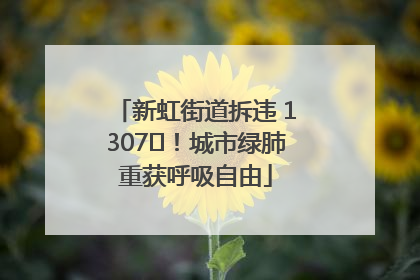 新虹街道拆违 1307㎡！城市绿肺重获呼吸自由