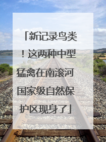 新记录鸟类！这两种中型猛禽在南滚河国家级自然保护区现身了