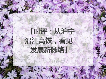 时评：从沪宁沿江高铁，看见发展新脉络