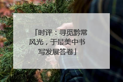 时评：寻觅黔常风光，于最美中书写发展答卷