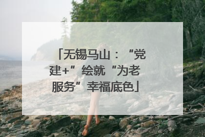 无锡马山：“党建+”绘就“为老服务”幸福底色
