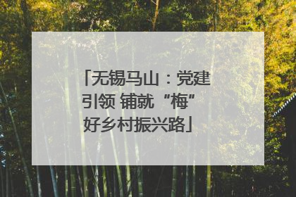 无锡马山：党建引领 铺就“梅”好乡村振兴路