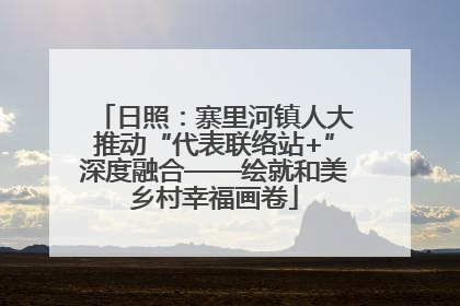 日照：寨里河镇人大推动“代表联络站+”深度融合——绘就和美乡村幸福画卷