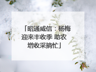 昭通威信：杨梅迎来丰收季 助农增收采摘忙