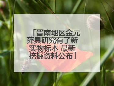 晋南地区金元葬具研究有了新实物标本 最新挖掘资料公布