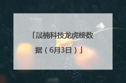 晟楠科技龙虎榜数据（6月3日）