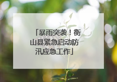 暴雨突袭！衡山县紧急启动防汛应急工作