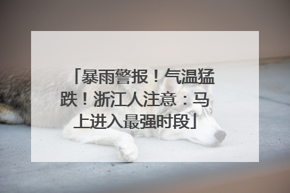 暴雨警报！气温猛跌！浙江人注意：马上进入最强时段